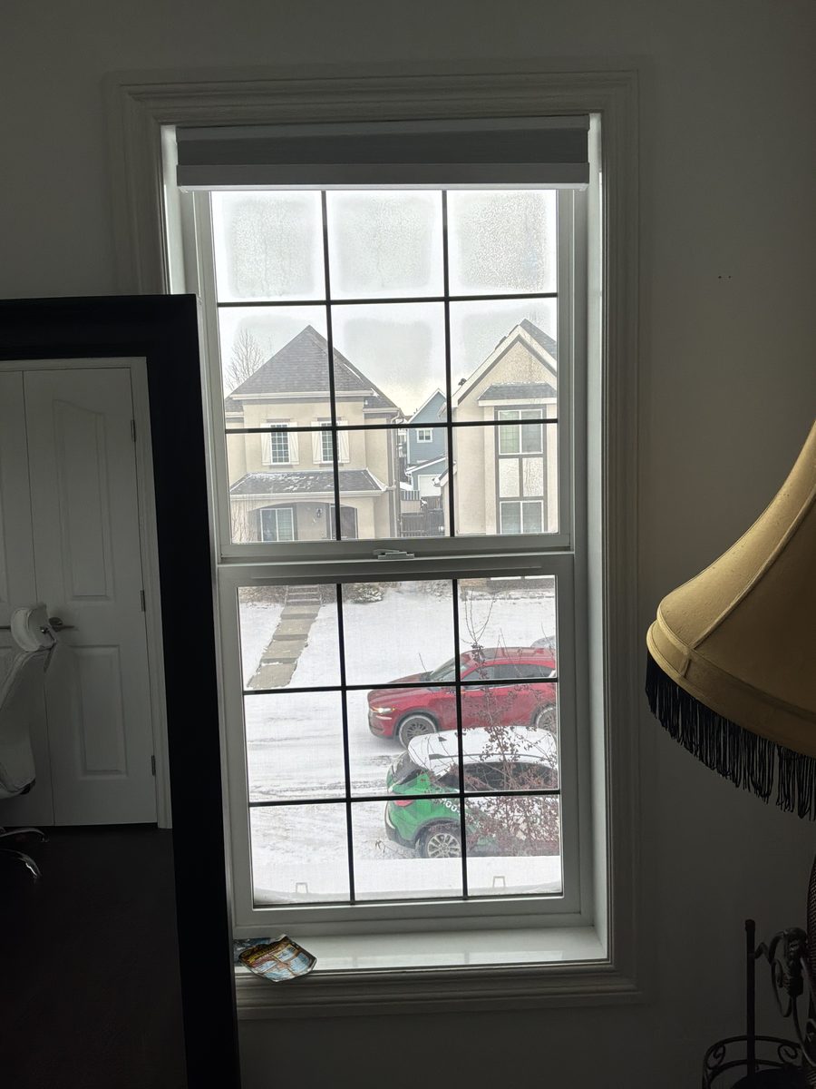 Hung windows in living room